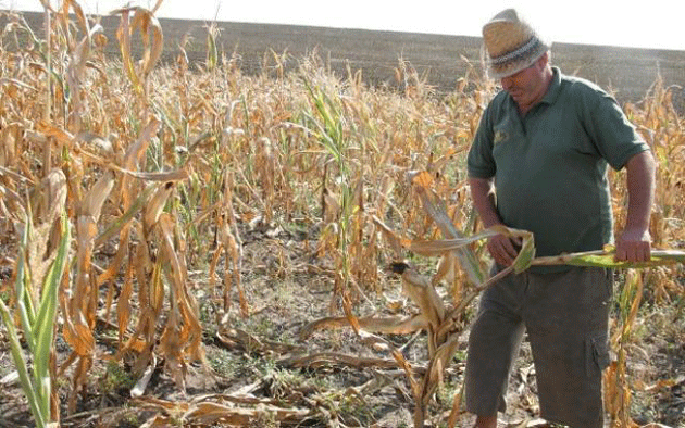 După grindină şi inundaţii vine seceta
