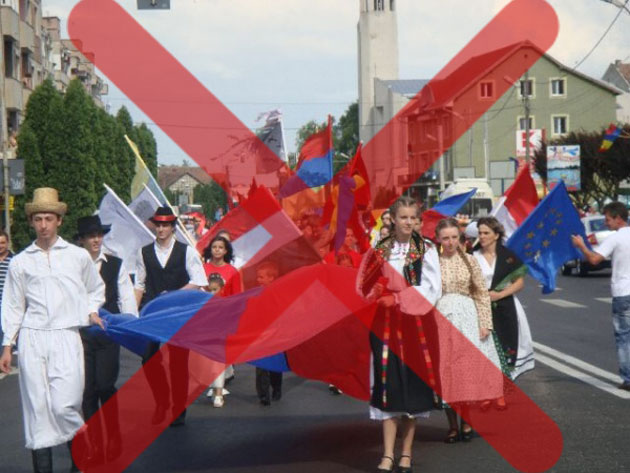 Zilele Careiene nu vor fi organizate nici în acest an