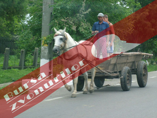 Căruţe indigene pe drumuri europene