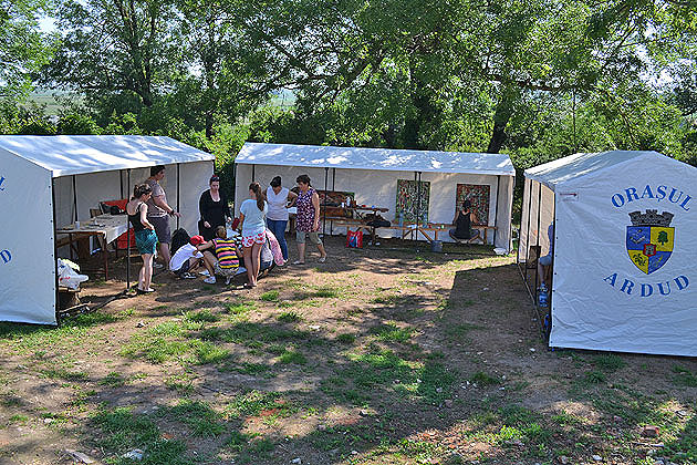 Festival de artă contemporană la Ardud