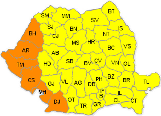 COD GALBEN de caniculă la Satu Mare