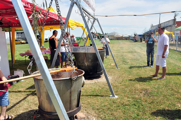 Festival în familie la Căpleni