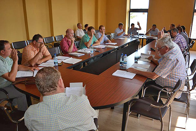 Monument pentru românii refugiaţi  din Carei