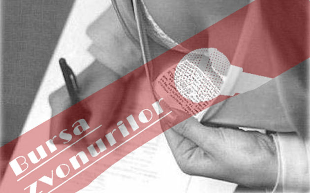 Fiţuici de Bac online