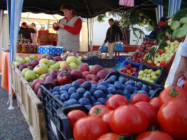 Soiurile de legume româneşti, în pericol