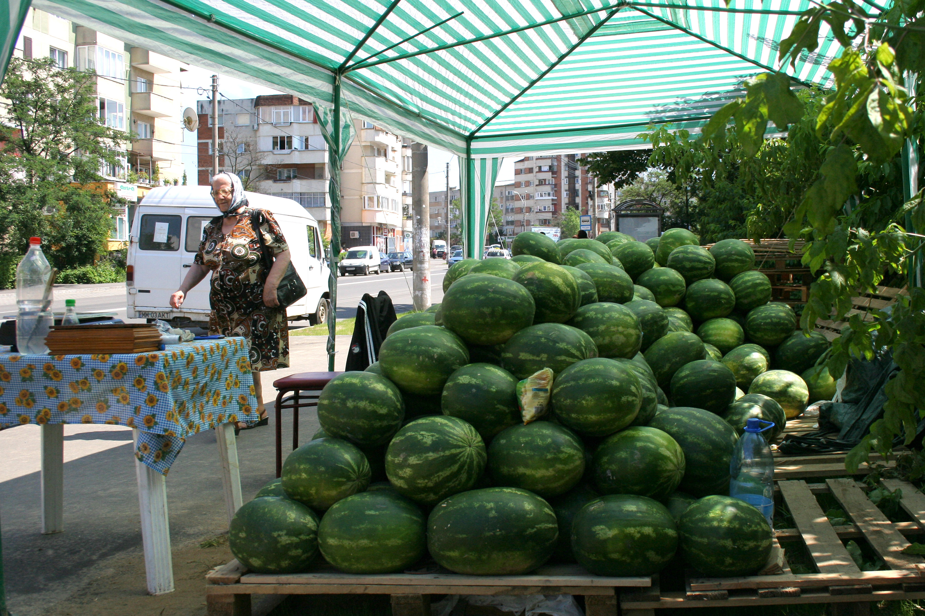 PREŢUL lebeniţelor menţinut RIDICAT de SPECULANŢI. Poliţia Locală face CONTROALE