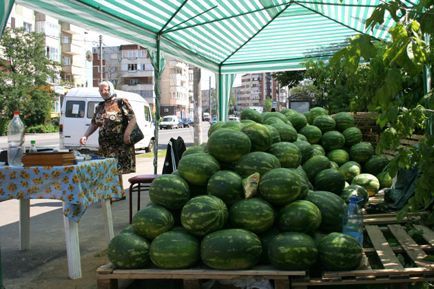 Lebeniţarii din Satu Mare, luaţi la control