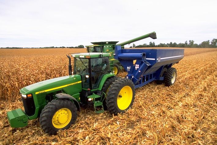 Corn harvest. Harvesting a corn field.
