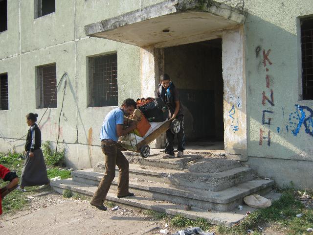 Viaţă de BOIERI pentru "SĂRMANII" de pe OSTROVULUI. PORCI sacrificaţi, chefuri şi scandaluri