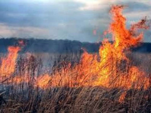 Zeci de hectare de vegetaţie uscată mistuite de flăcări la Drăguşeni