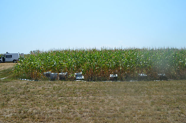 Contrabanda se face cu motodeltaplanul