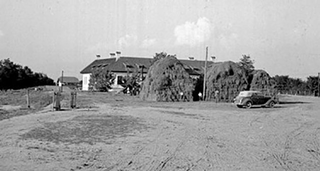 Când o Coloană sărută infinitul II