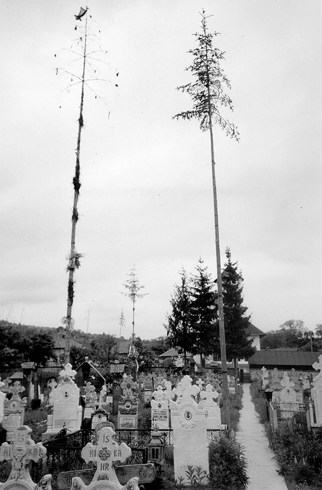 Când o Coloană sărută infinitul (III)