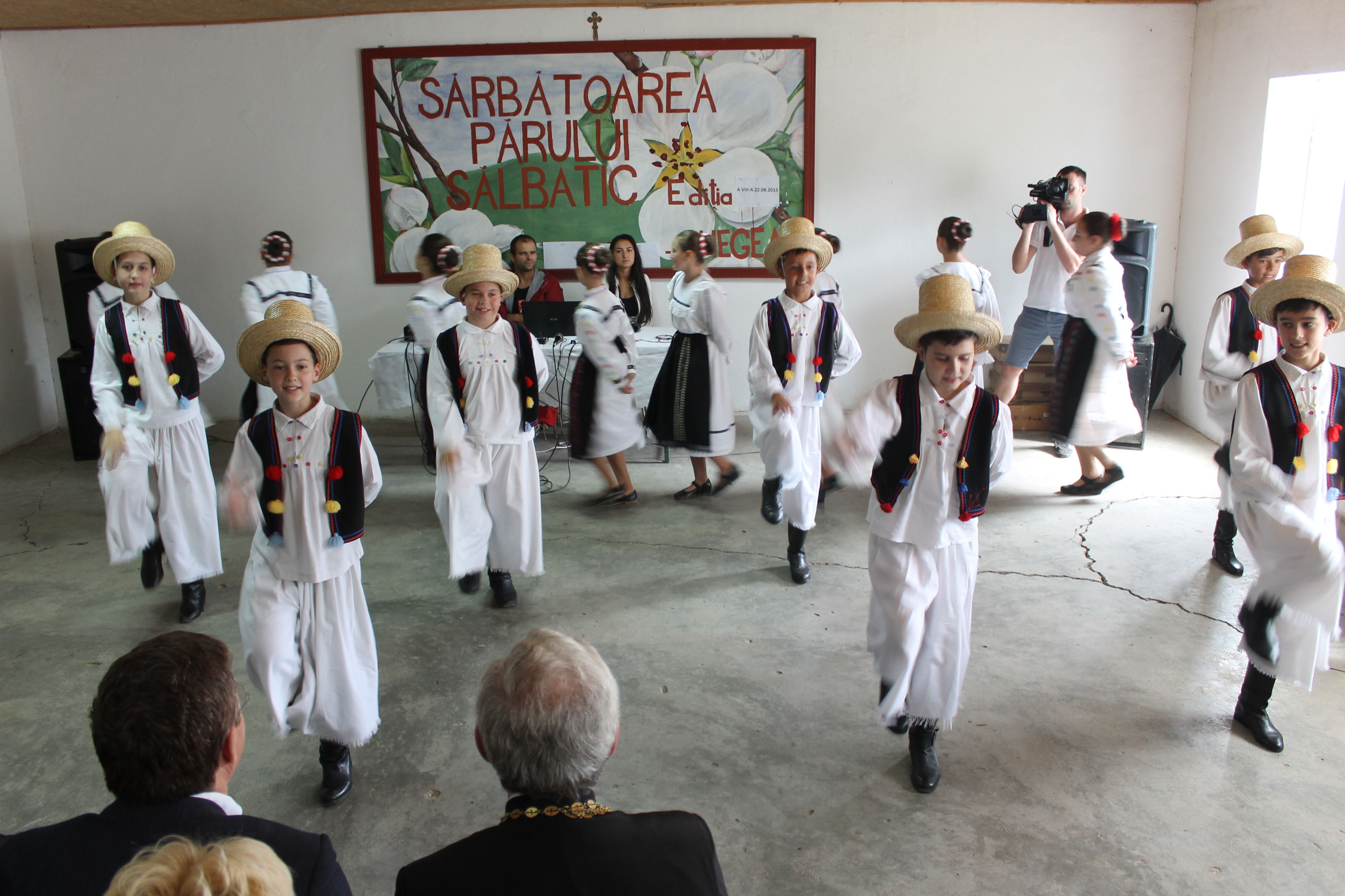 Festivalul Părului Sălbatic de la Chegea, la a opta ediţie