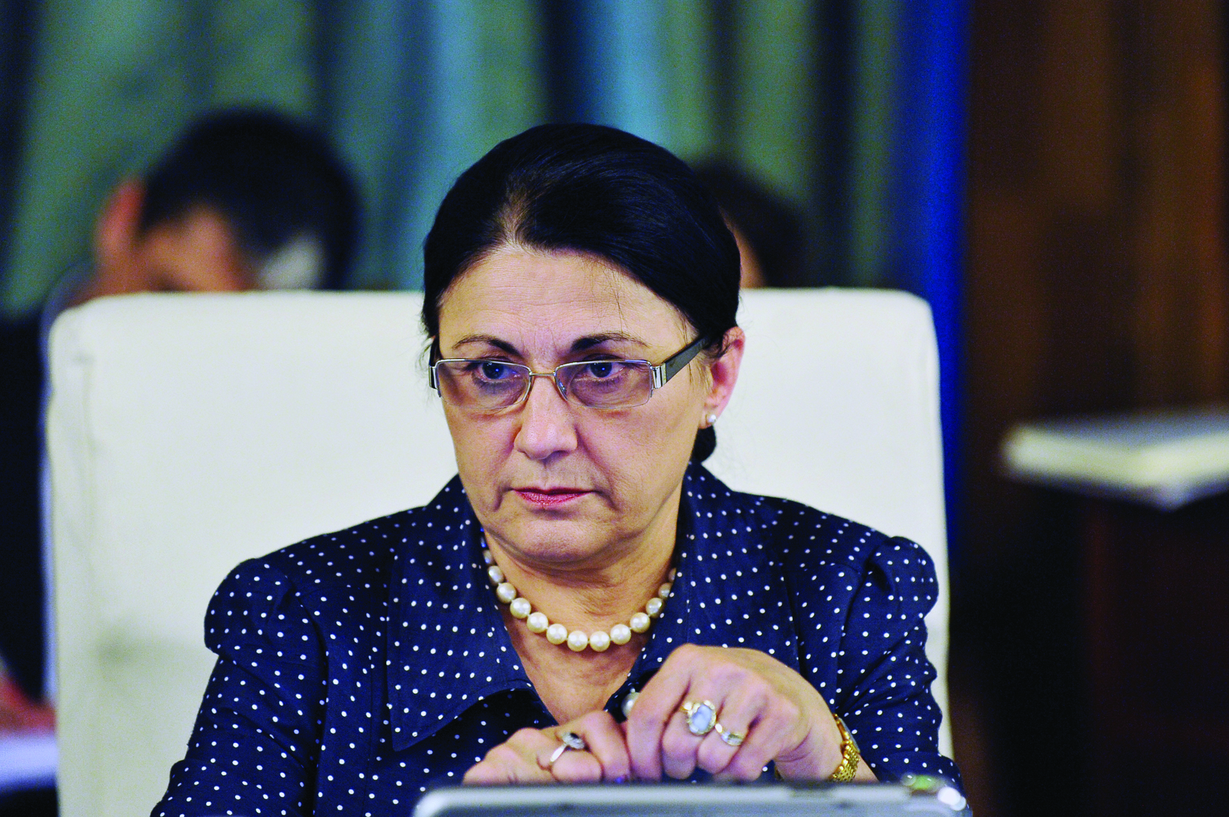 Ecaterina Andronescu:  Putem face o lege a educaţiei care să îi permită sistemului să se dezvolte creativ