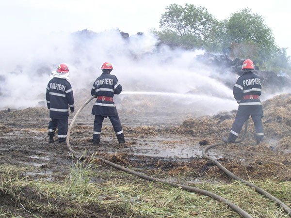 Pompierii sunt DISPERAŢI! HECTARE întregi de vegetaţie sunt făcute SCRUM