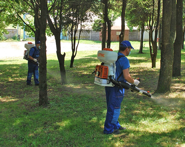 Campanie de dezinsecție în Negrești-Oaș