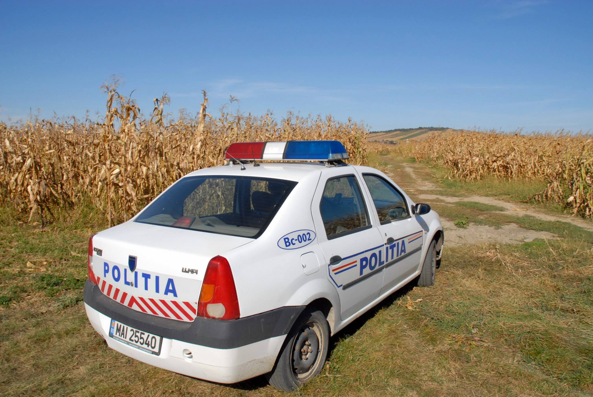 Locuitorii din Păuleşti AMENINŢĂ cu REVOLTA. Aceştia îi acuză pe ROMI că le FURĂ recoltele