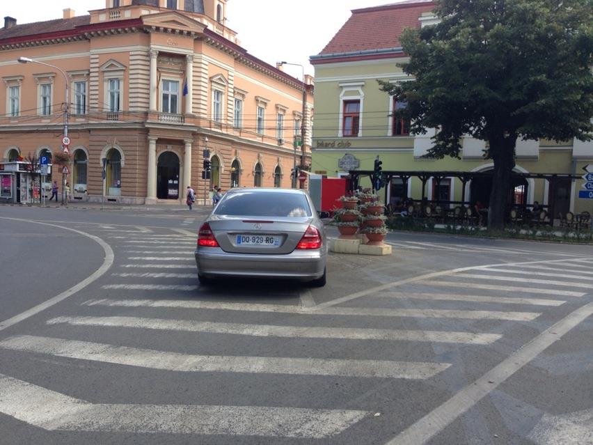 Război TOTAL între sătmărenii "STRANIERI" şi "AUTOHTONI". Conflicte verbale, fizice şi ironii de ambele părţi