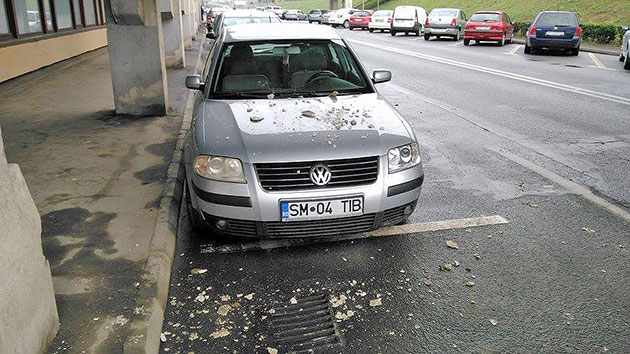 Cade tencuiala pe Bd. Transilvania!