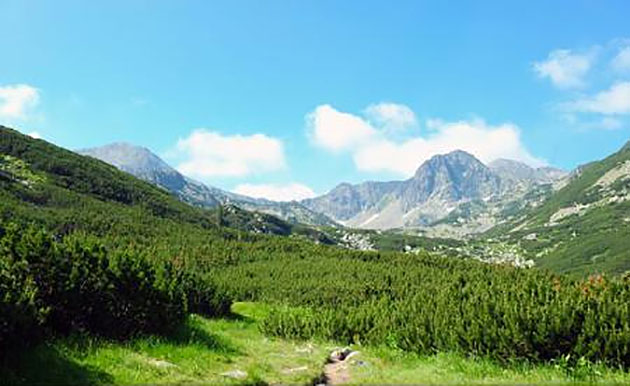 Peisajele terapeutice au un rol important în sănătatea mentală și fizică