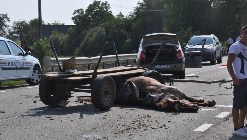 Accident grav provocat de un căruţaş