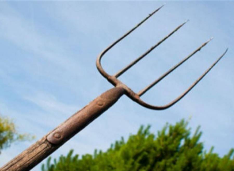 Și-a BĂGAT tatăl în SPITAL. L-a BĂTUT cu COADA FURCII