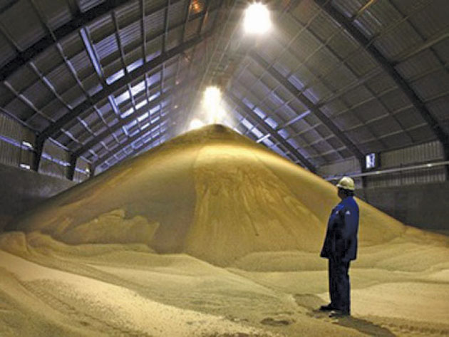 Un preţ bun la grâu, ultima speranţă pentru fermieri