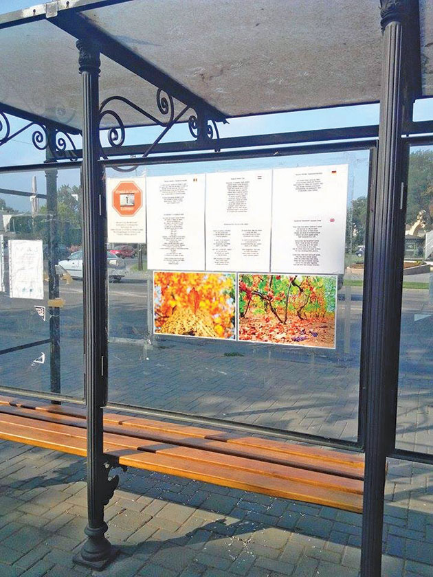 “Minutul de cultură” continuă  şi în septembrie la Carei