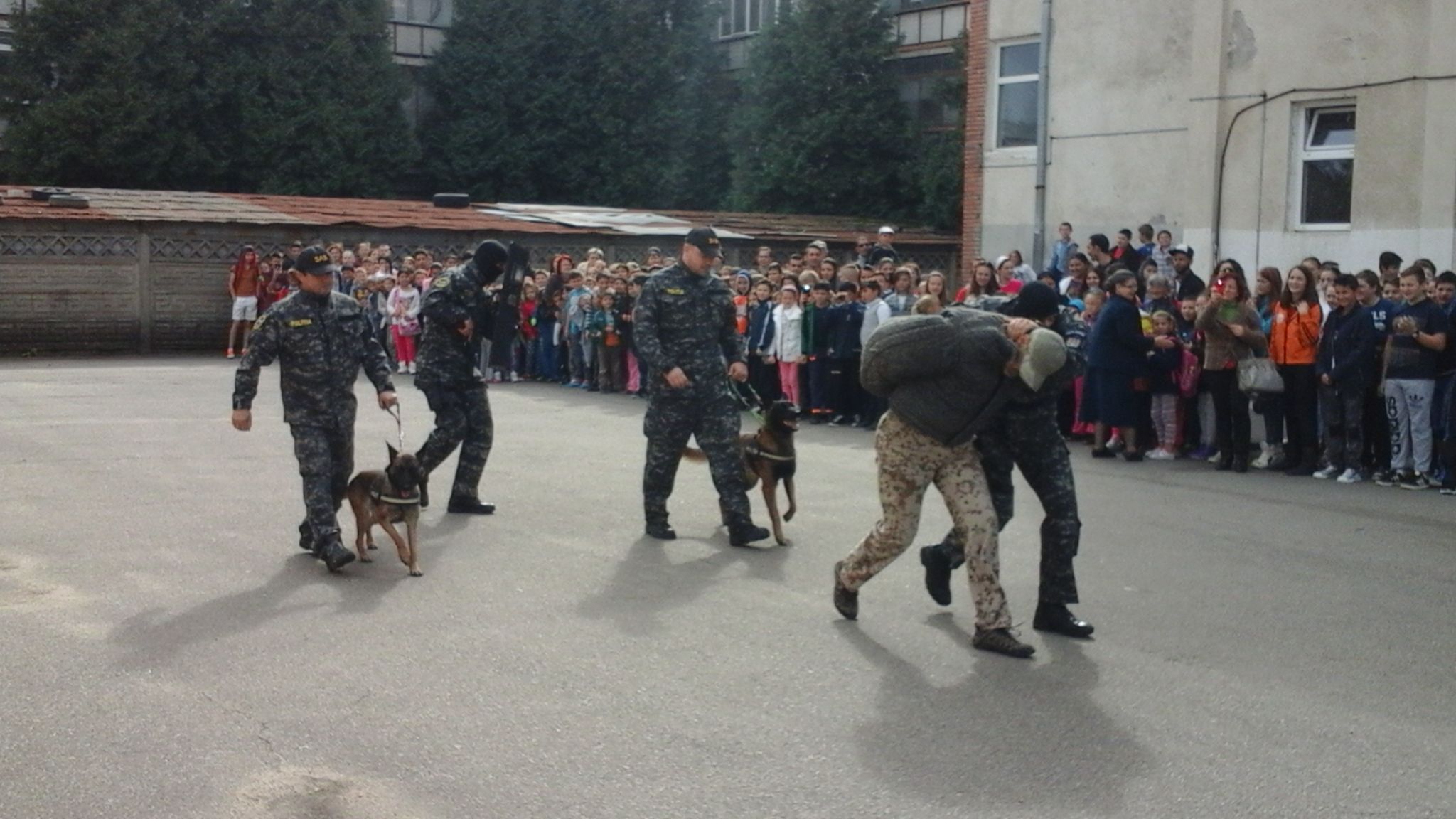 FORŢELE SPECIALE au luat cu ASALT o şcoală din SATU MARE