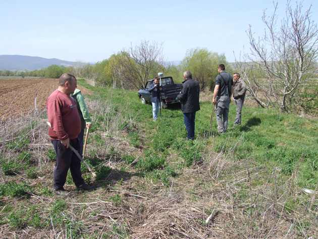 Culturile sătmărenilor, recoltate de hoţi