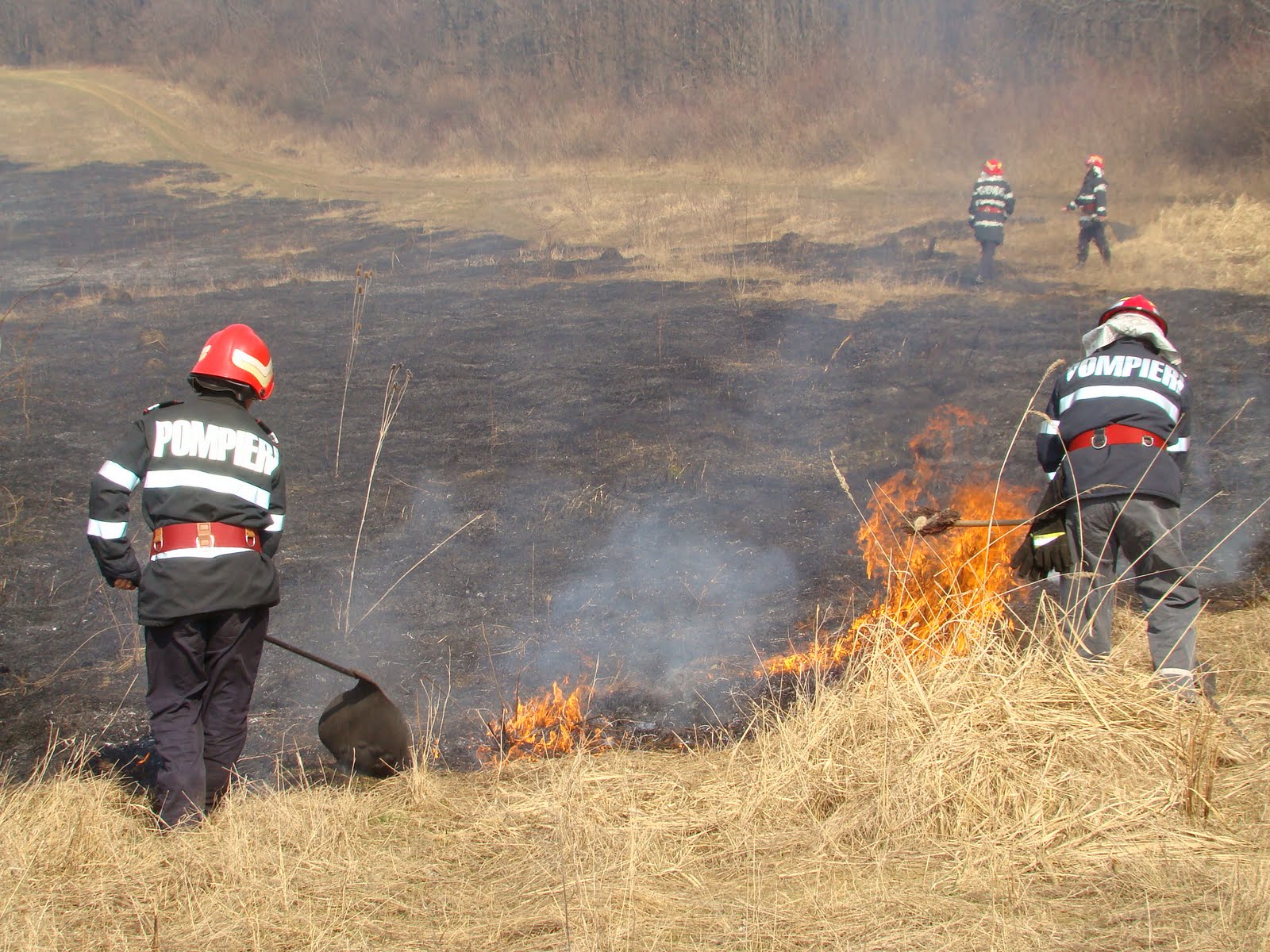RECORD de INCENDII în acest an în judeţ. SUTE de HECTARE mistuite de FLĂCĂRI