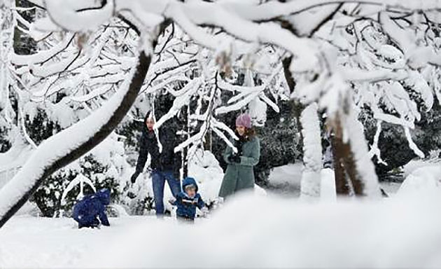 Iarna poate fi suportată mai ușor dacă se iau măsuri adecvate