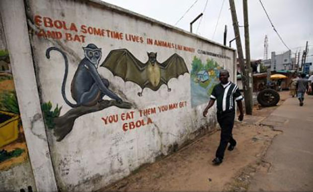 Virusul Ebola poate persista cel puțin nouă luni în sperma unor supraviețuitori ai infecției