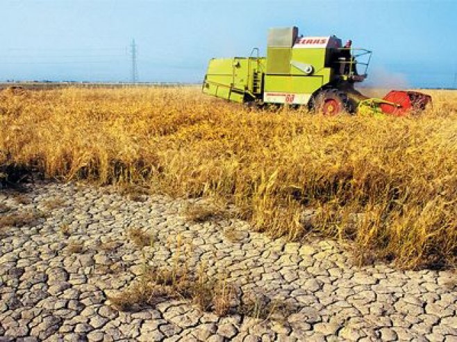 Cea mai SLABĂ producţie în AGRICULTURĂ din ultimii 25 de ani în JUDEŢ