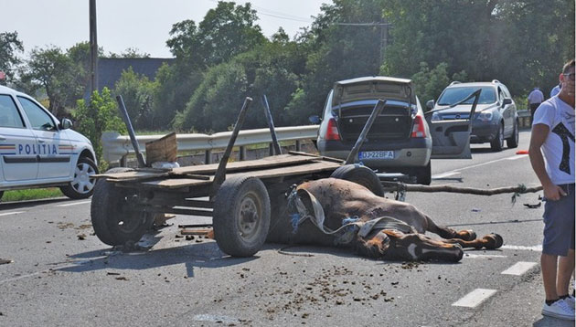 Căruţele fac ravagii pe şosele