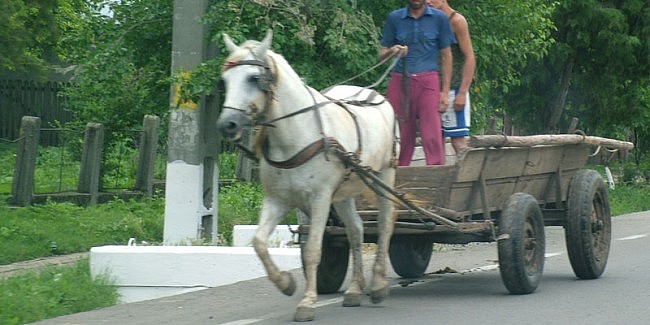 TUPEU de BORFAŞ. La FURAT de bolţari cu CĂRUŢA prin SATU MARE