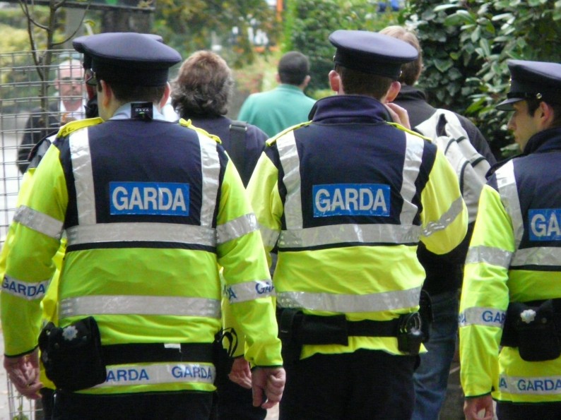 Pădurile judeţului, PĂZITE cu ELECTROŞOCURI şi BILE de CAUCIUC