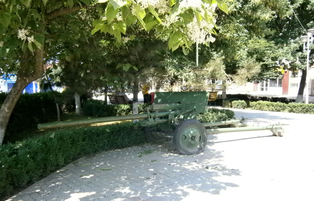 Moţii din Horea cer autorităţilor două TUNURI. Vezi pentru ce sunt SOLICITATE