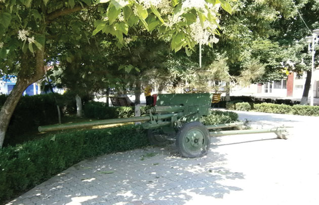 Moţii din Horea cer autorităţilor două tunuri