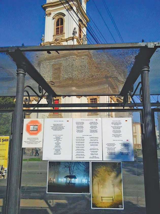 Minutul de cultură continuă şi în octombrie la Carei