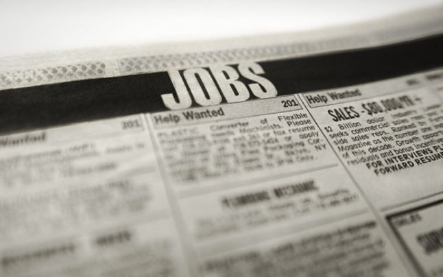 Locuri de muncă vacante în judeţ