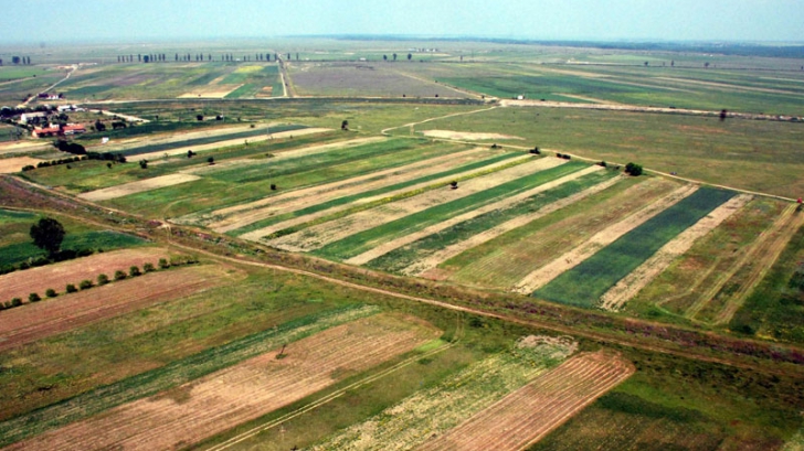 Haos în evidenţa terenurilor agricole