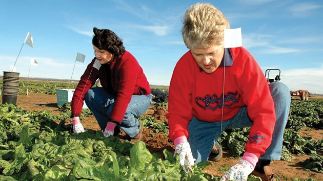 Sindicaliştii italieni luptă pentru drepturile românilor