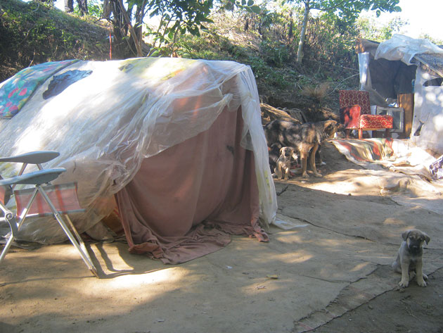 Razie de amploare pe malurile Someşului