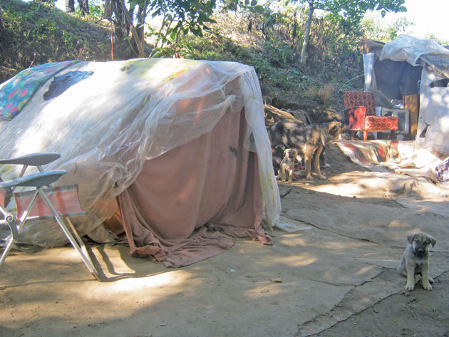 Jumătate dintre copiii nevoiaşi nu merg la şcoală