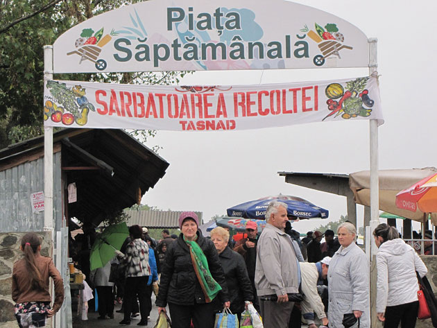 Ziua Recoltei, sărbătorită la Tăşnad