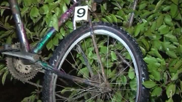 GHINION TERIBIL pentru un biciclist la Carei! A plătit cu VIAŢA