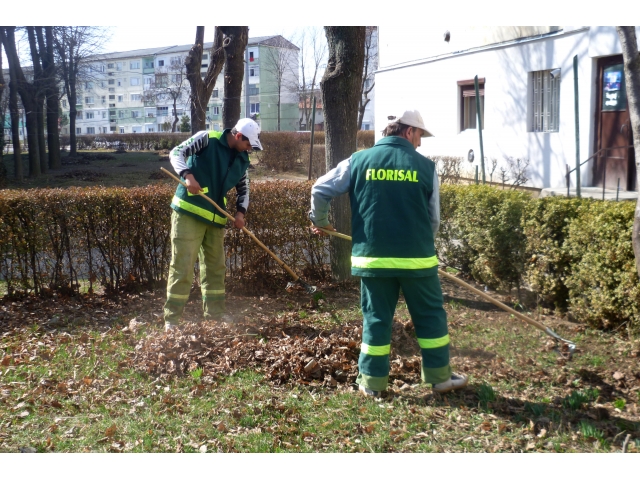 ATENŢIE sătmăreni! Primăria va demara MAREA CURĂŢENIE de TOAMNĂ