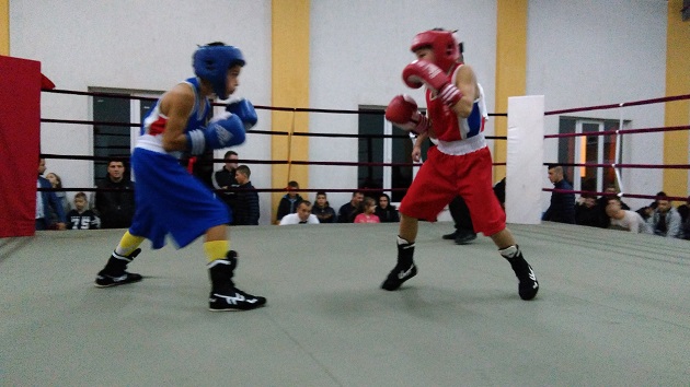 Spuma boxului românesc s-a adunat la Căuaş